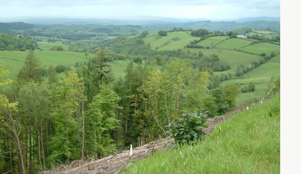 Rural landscapes and countryside in Wales